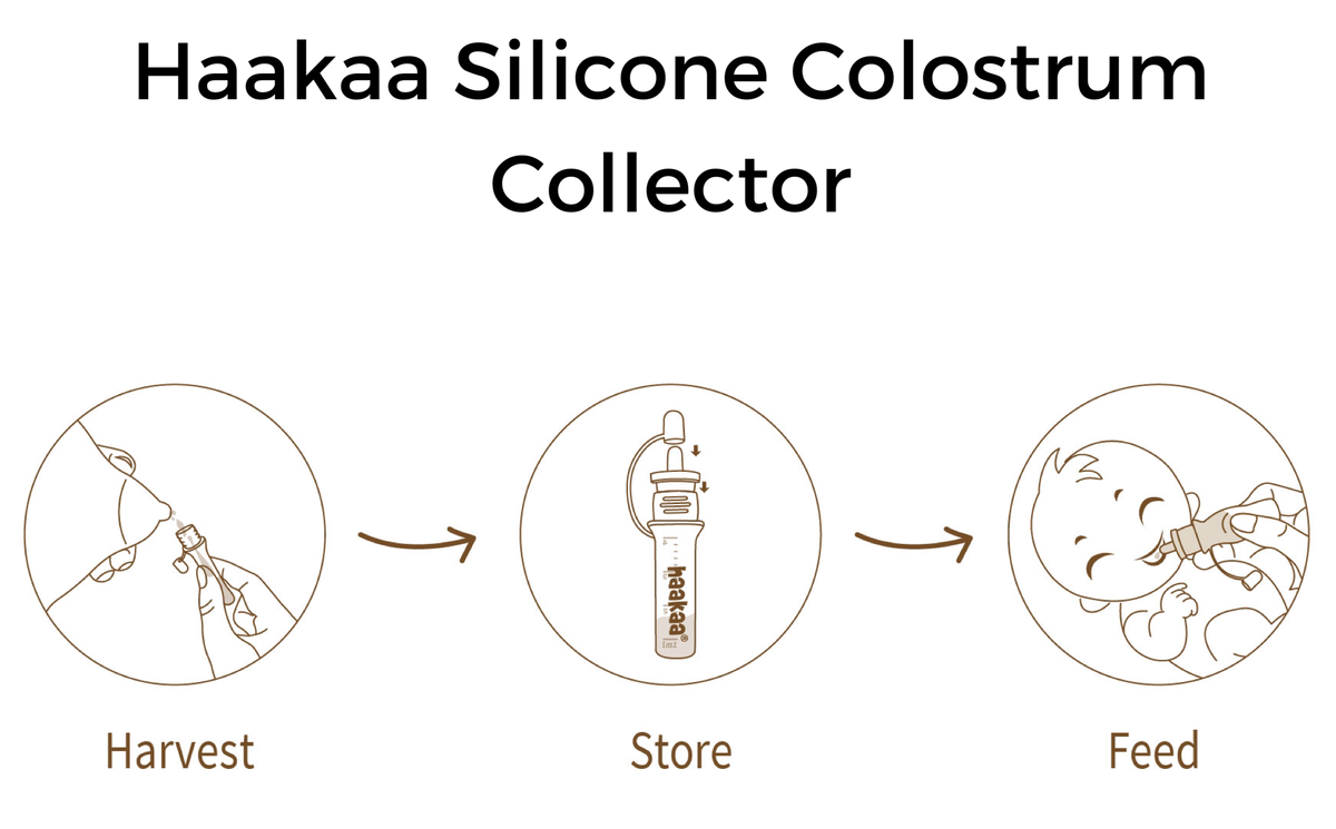 Haakaa Silicone Colostrum Collector Set 4 ml, 6 PK - Haakaa USA