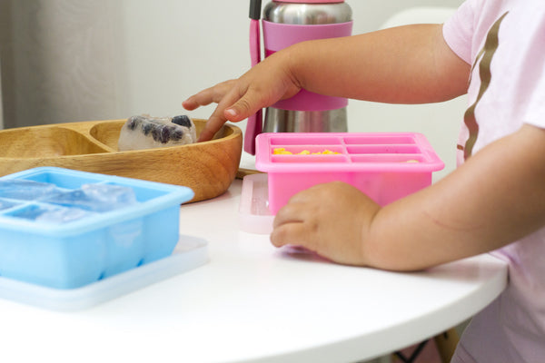 Haakaa Baby Food and Breast Milk Freezer Tray – The Wild